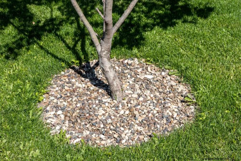 Improve Garden Drainage: 21 No-Dig Solutions for Healthier Plants