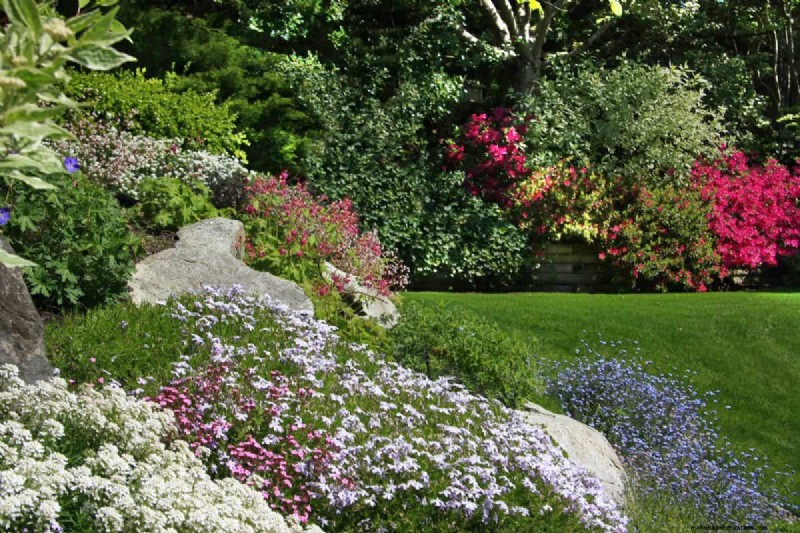 Improve Garden Drainage: 21 No-Dig Solutions for Healthier Plants