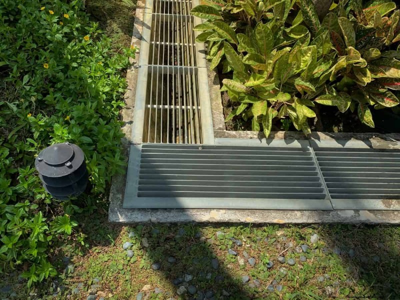 Improve Garden Drainage: 21 No-Dig Solutions for Healthier Plants
