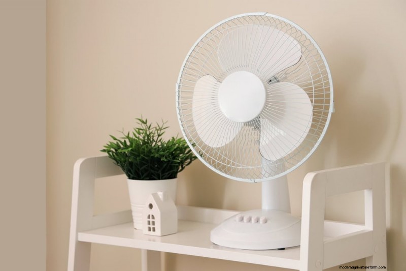 Curling Leaves on Houseplants: Causes & Quick Fixes