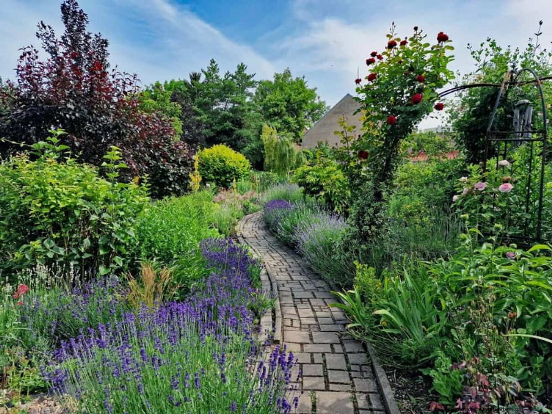 Attract Hummingbirds: 30 Beautiful Flowers for a Thriving Garden