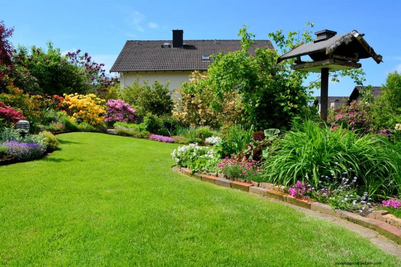 Top 25 Flowering Shrubs for a Stunning Spring Garden