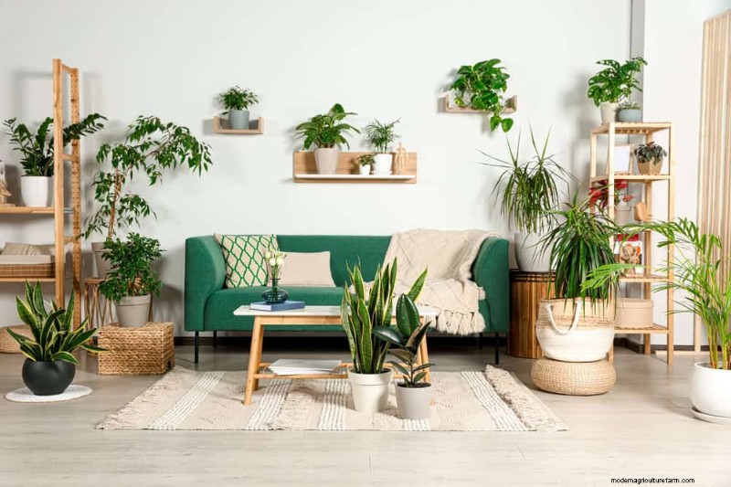 Repotting Mistakes: 24 Houseplants That Prefer to Stay Put