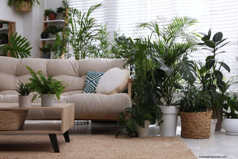 Repotting Mistakes: 24 Houseplants That Prefer to Stay Put