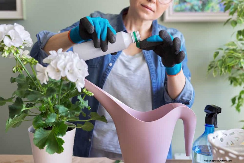 Accelerate Houseplant Growth: 20 Proven Tips for Faster Results
