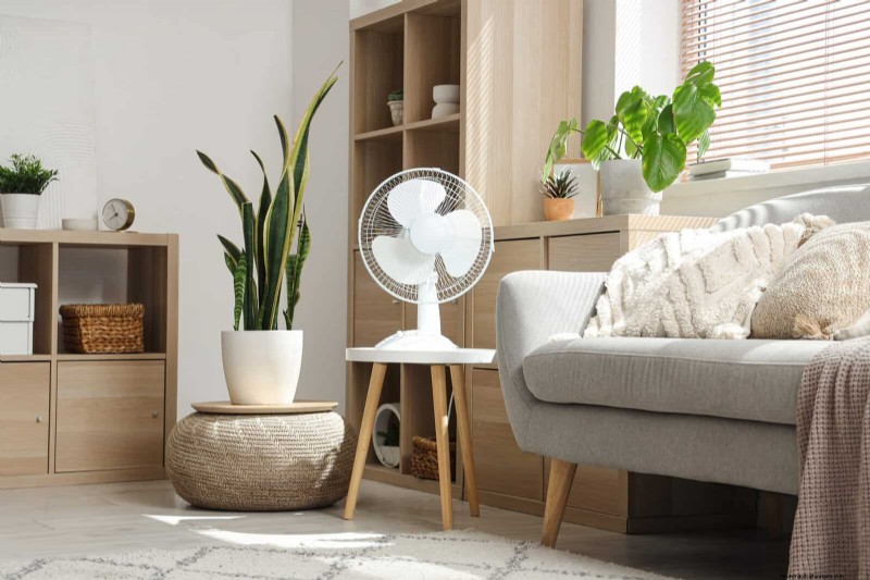 Accelerate Houseplant Growth: 20 Proven Tips for Faster Results