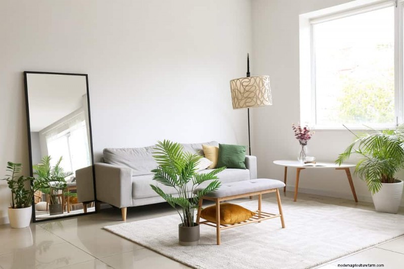 Accelerate Houseplant Growth: 20 Proven Tips for Faster Results