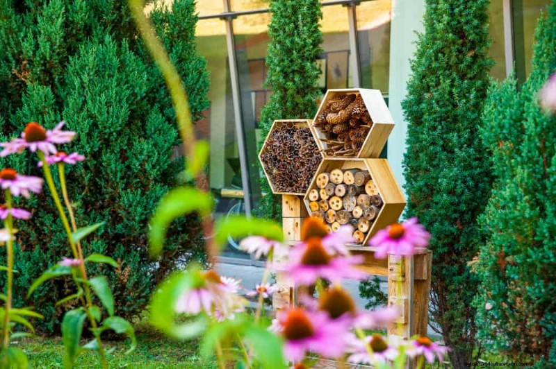 Attract Pollinators to Your Garden: 17 Proven Methods