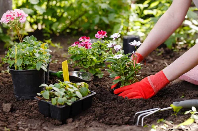 Attract Pollinators to Your Garden: 17 Proven Methods