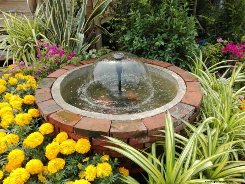 Attract Pollinators to Your Garden: 17 Proven Methods