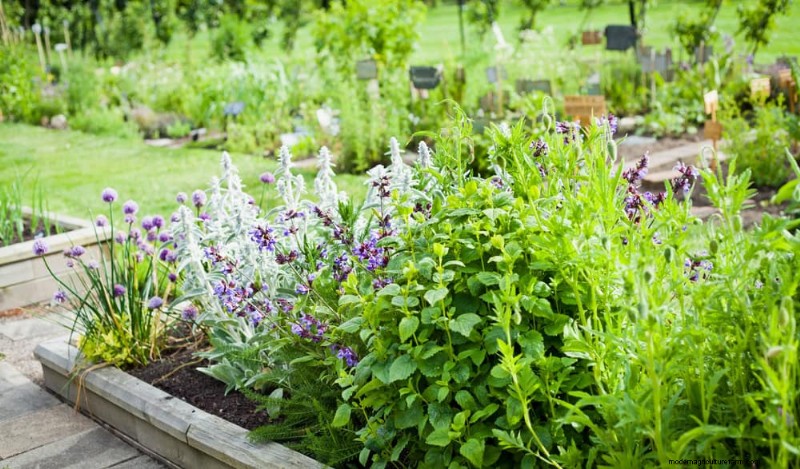 Attract Pollinators to Your Garden: 17 Proven Methods