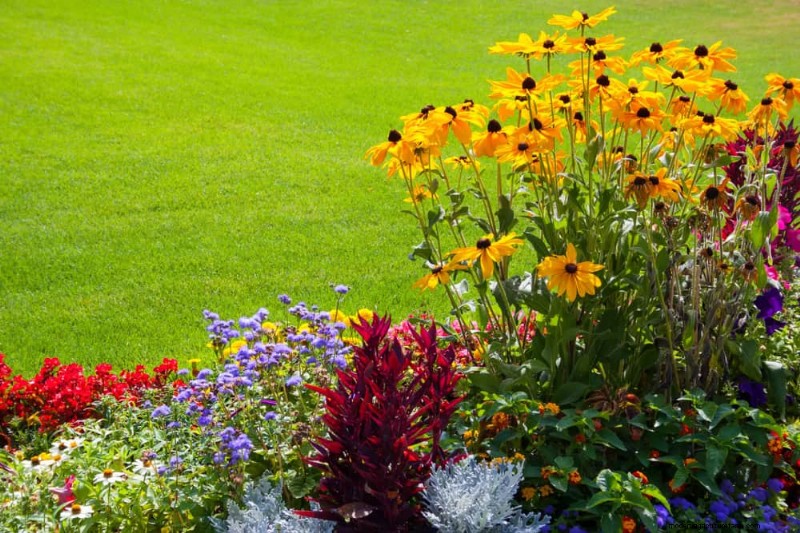 Attract Pollinators to Your Garden: 17 Proven Methods