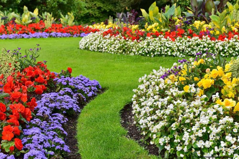 Attract Pollinators to Your Garden: 17 Proven Methods