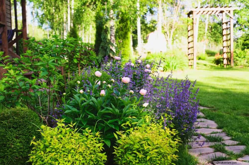 Attract Pollinators to Your Garden: 17 Proven Methods