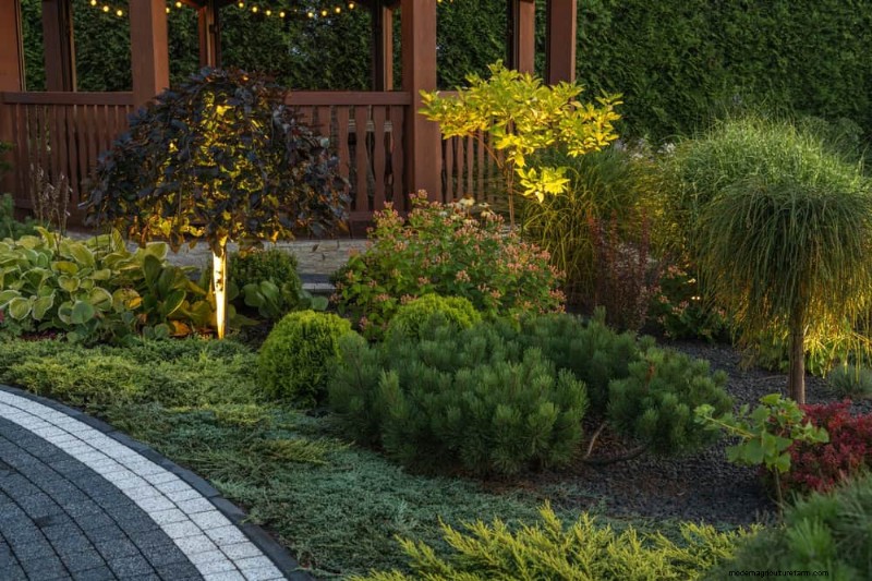 Attract Pollinators to Your Garden: 17 Proven Methods