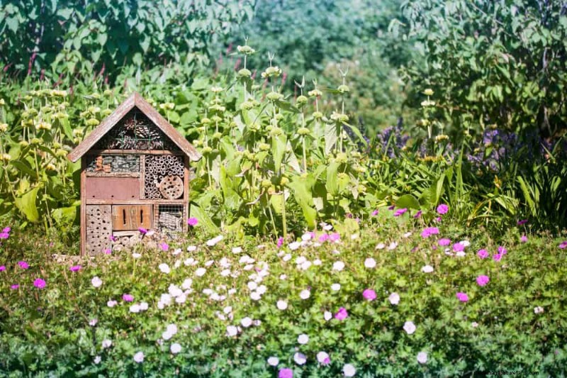 Attract Pollinators to Your Garden: 17 Proven Methods