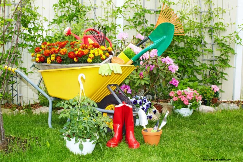 Essential Gardening Tools for Beginners: Build a Thriving Garden