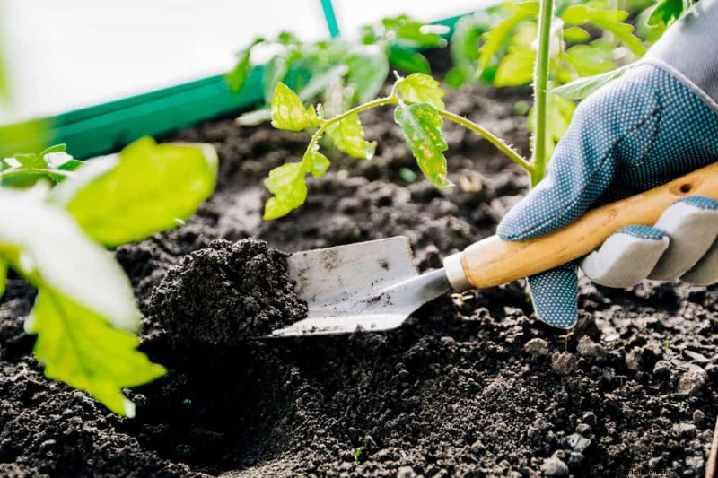 Essential Gardening Tools for Beginners: Build a Thriving Garden