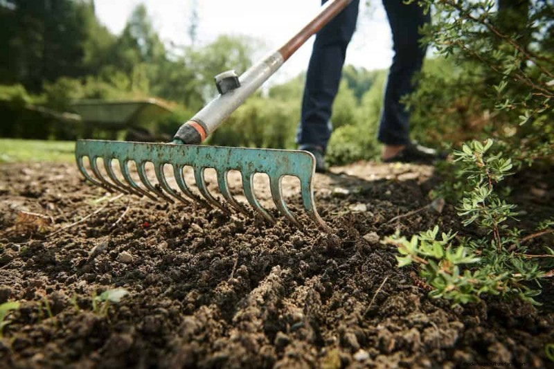 Essential Gardening Tools for Beginners: Build a Thriving Garden