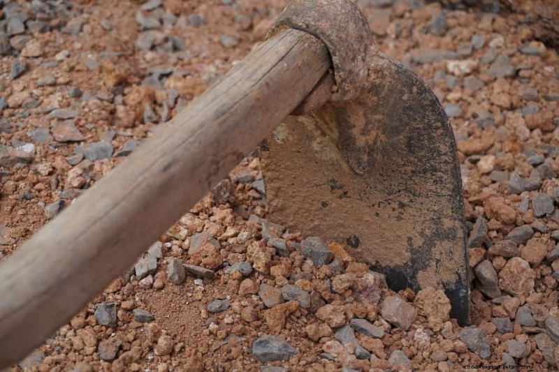 Essential Gardening Tools for Beginners: Build a Thriving Garden