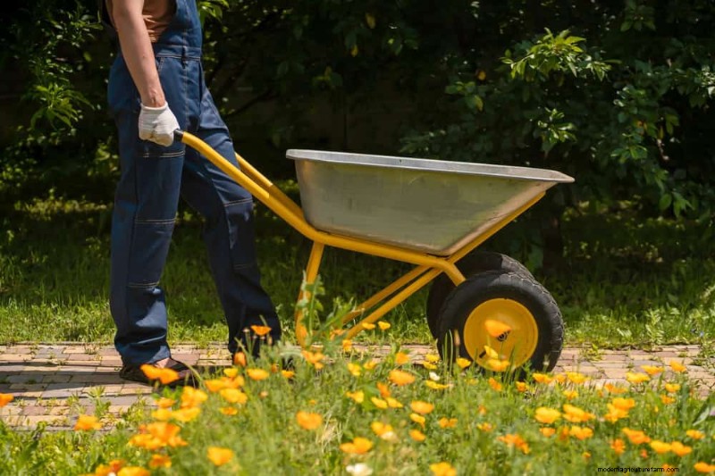 Essential Gardening Tools for Beginners: Build a Thriving Garden