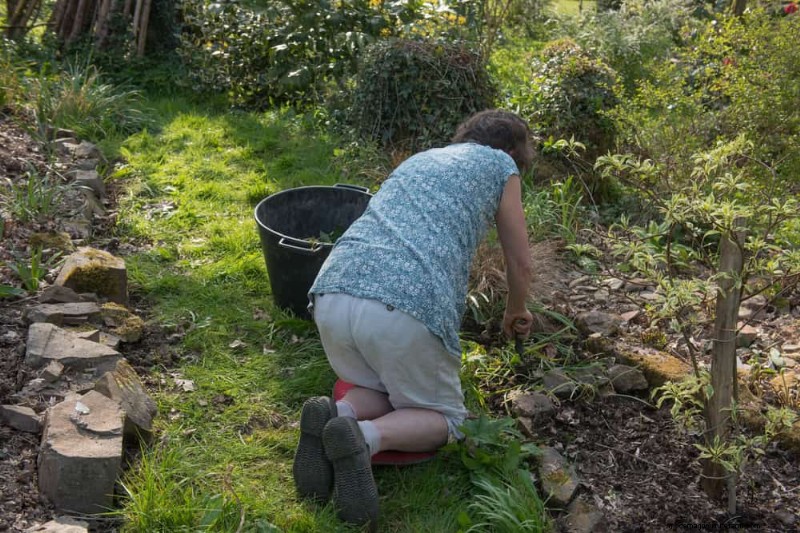 Essential Gardening Tools for Beginners: Build a Thriving Garden