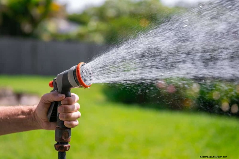 Essential Gardening Tools for Beginners: Build a Thriving Garden