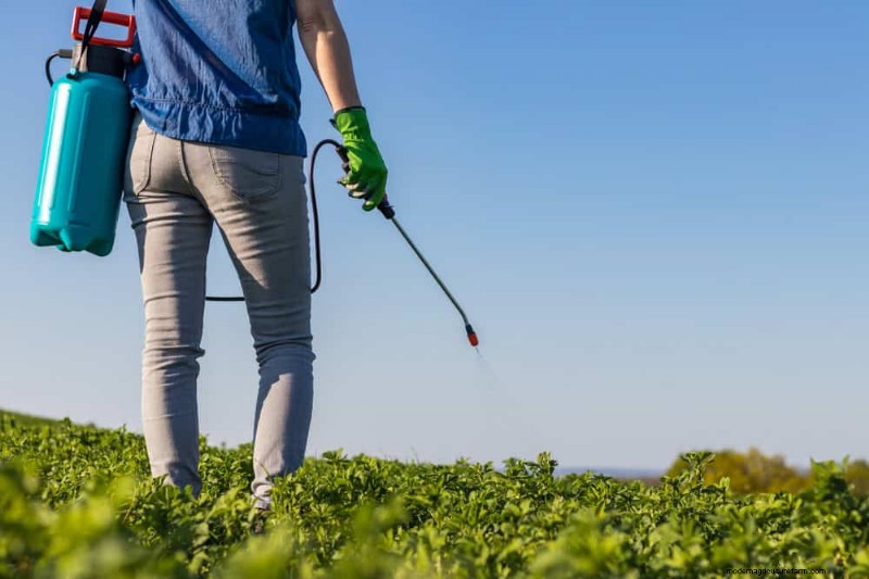 Essential Gardening Tools for Beginners: Build a Thriving Garden