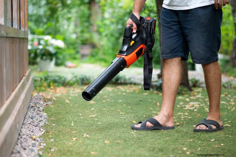 Essential Gardening Tools for Beginners: Build a Thriving Garden