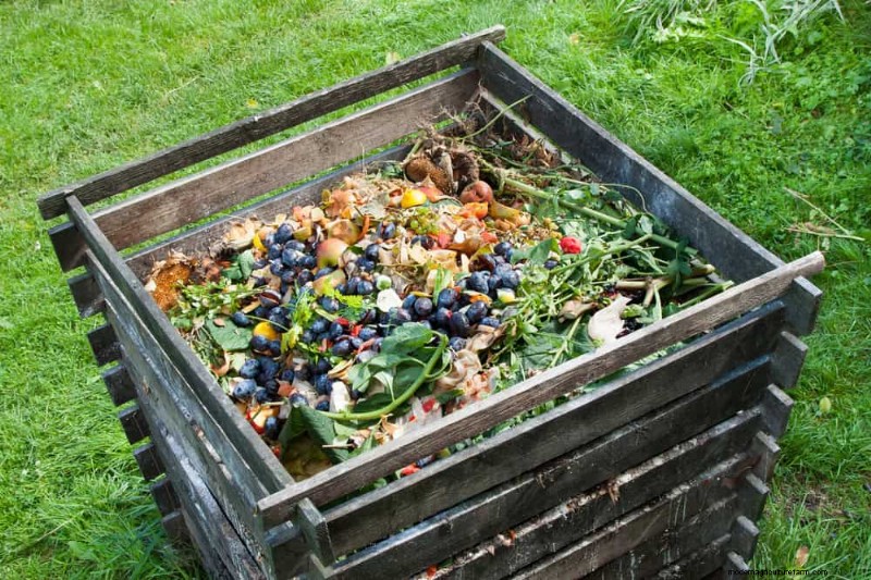 Essential Gardening Tools for Beginners: Build a Thriving Garden
