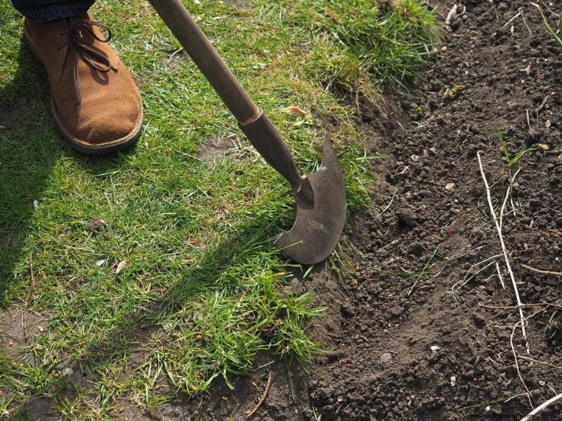 Essential Gardening Tools for Beginners: Build a Thriving Garden