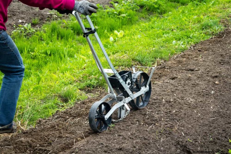 Essential Gardening Tools for Beginners: Build a Thriving Garden