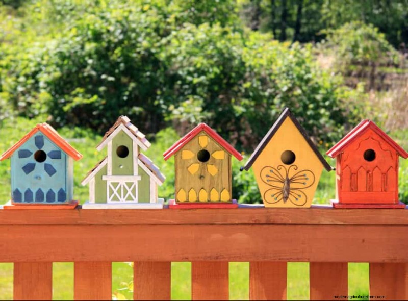 Natural Pest Control: 19 Eco-Friendly Ways to Protect Your Garden
