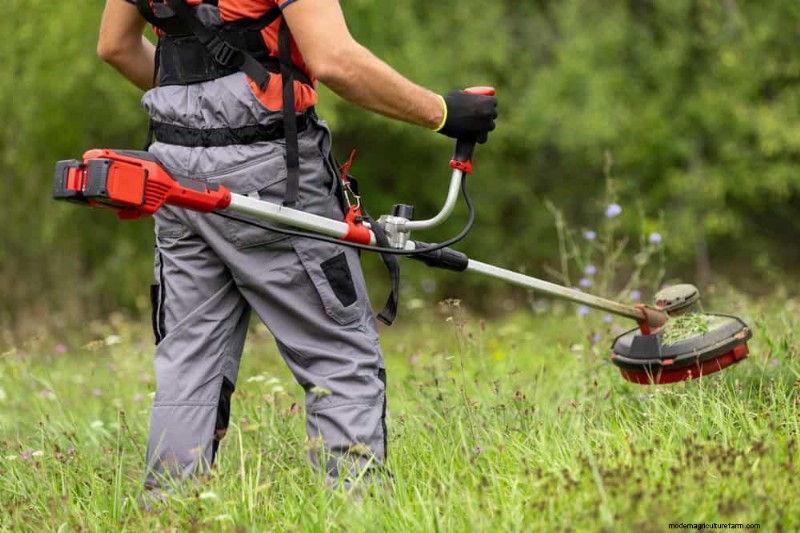 Natural Pest Control: 19 Eco-Friendly Ways to Protect Your Garden