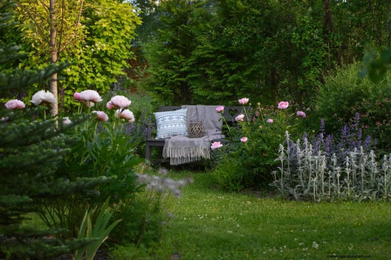 Create a Fairytale Garden: 19 Enchanting Cottage Garden Plants