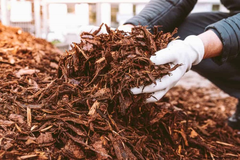 Water-Wise Gardening: 24 Simple Ways to Conserve Water This Spring