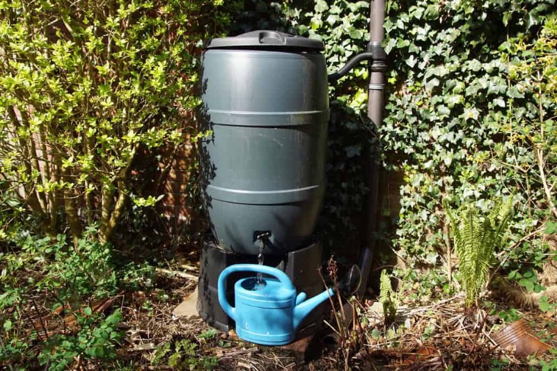 Water-Wise Gardening: 24 Simple Ways to Conserve Water This Spring