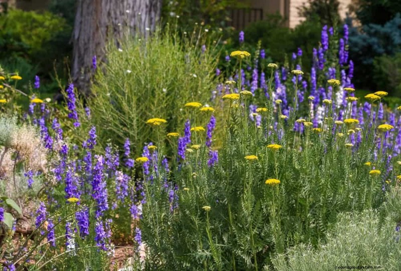 Water-Wise Gardening: 24 Simple Ways to Conserve Water This Spring