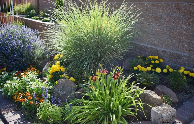 Water-Wise Gardening: 24 Simple Ways to Conserve Water This Spring