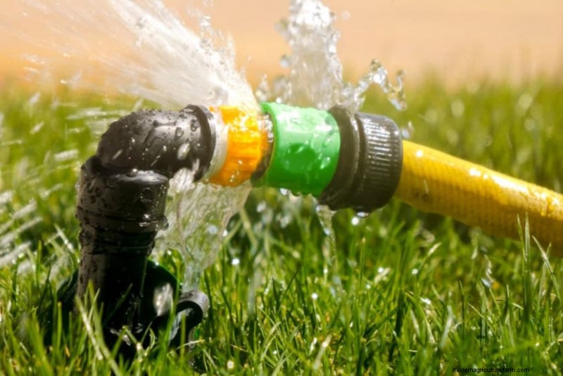 Water-Wise Gardening: 24 Simple Ways to Conserve Water This Spring