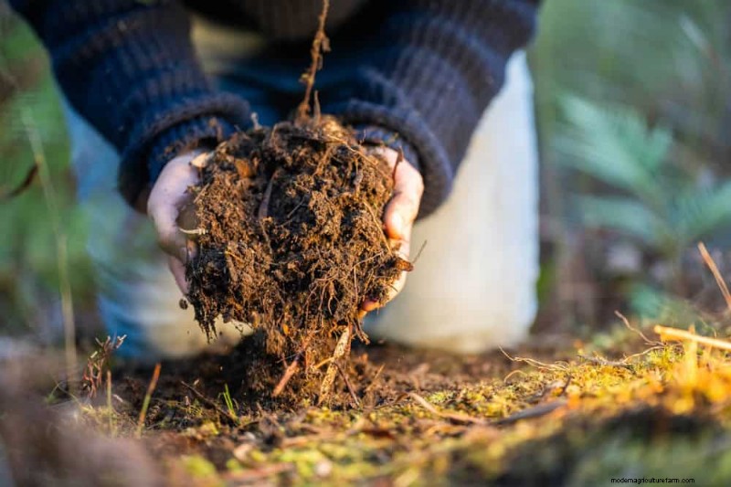 Water-Wise Gardening: 24 Simple Ways to Conserve Water This Spring