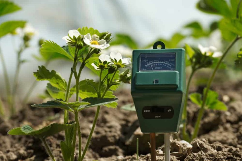 Water-Wise Gardening: 24 Simple Ways to Conserve Water This Spring