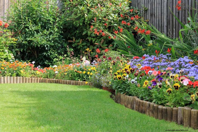 Water-Wise Gardening: 24 Simple Ways to Conserve Water This Spring
