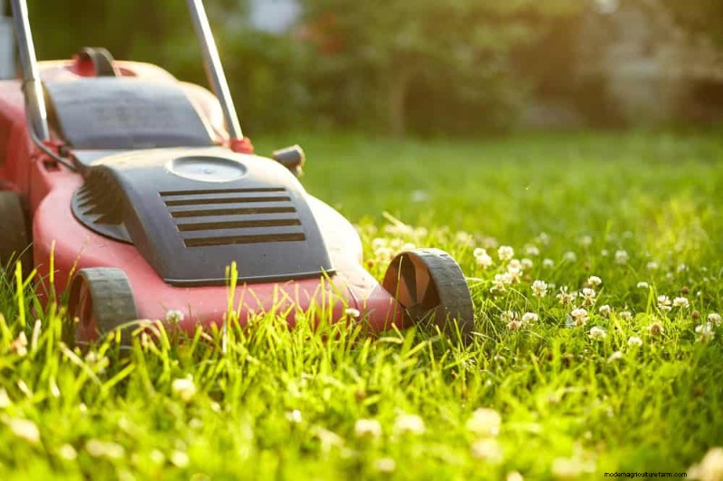 Water-Wise Gardening: 24 Simple Ways to Conserve Water This Spring
