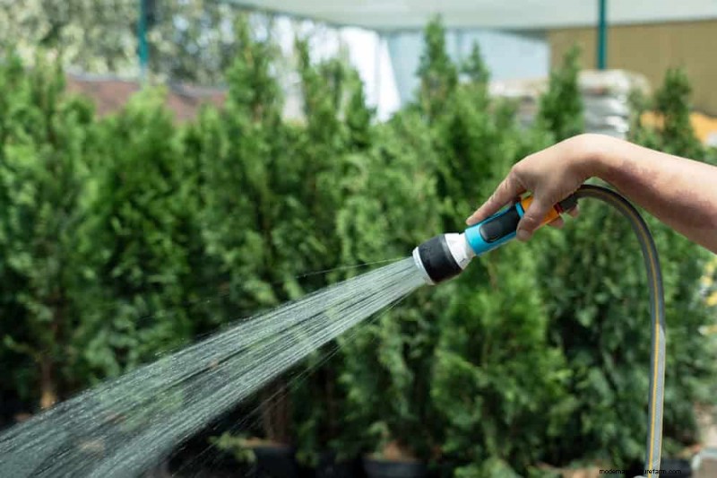 Water-Wise Gardening: 24 Simple Ways to Conserve Water This Spring