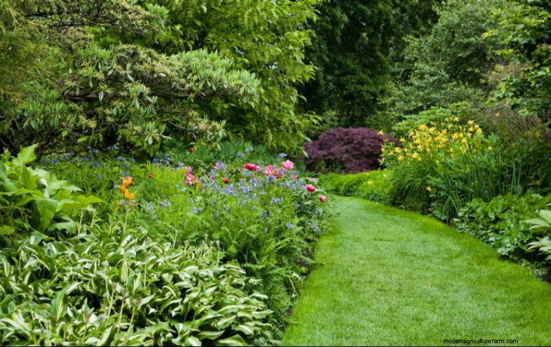 Water-Wise Gardening: 24 Simple Ways to Conserve Water This Spring