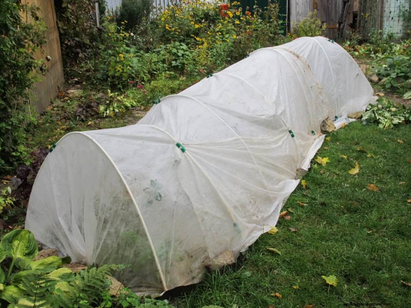 Water-Wise Gardening: 24 Simple Ways to Conserve Water This Spring