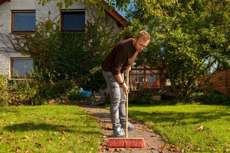 Water-Wise Gardening: 24 Simple Ways to Conserve Water This Spring