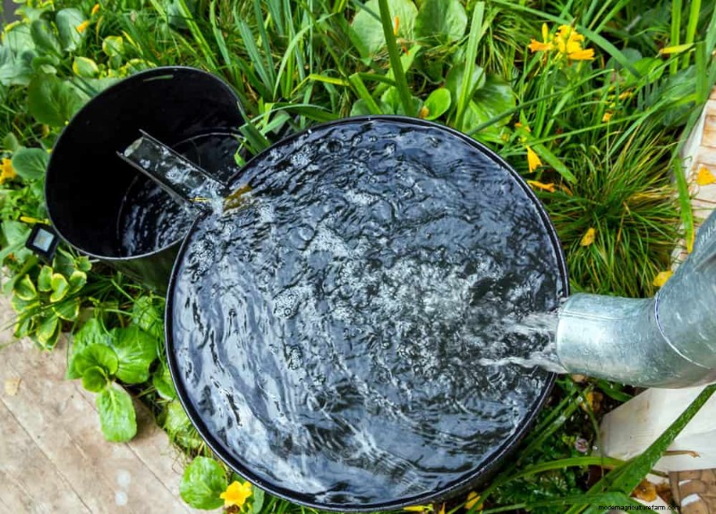 Water-Wise Gardening: 24 Simple Ways to Conserve Water This Spring