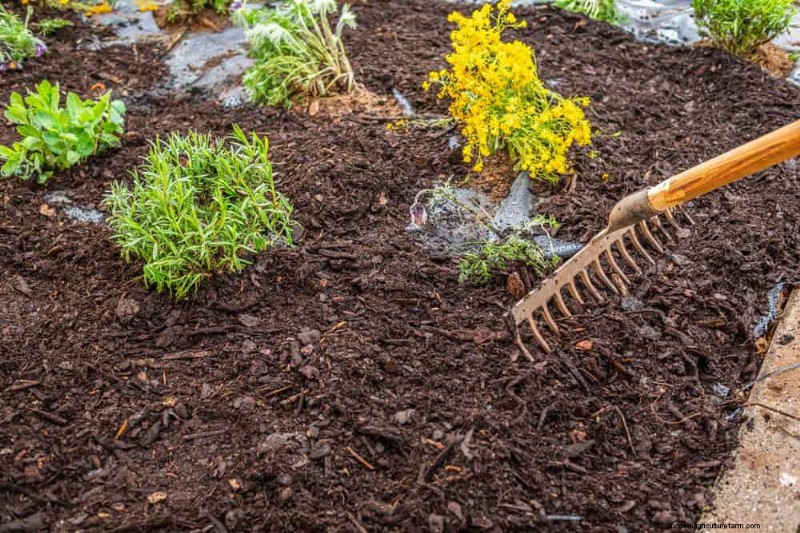 25 Proven Ways to Use Mulch for a Thriving Garden